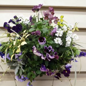 昨日のハンギングバスケット講習会から