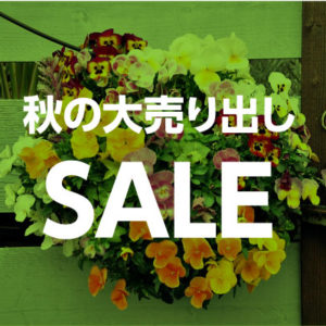 秋の大売り出し